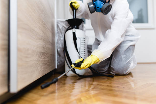 Best Best Pest Control Companies  in Rmel Valley Village, CA