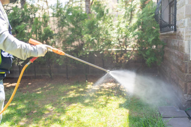 Best Mosquito Control Services  in Rmel Valley Village, CA